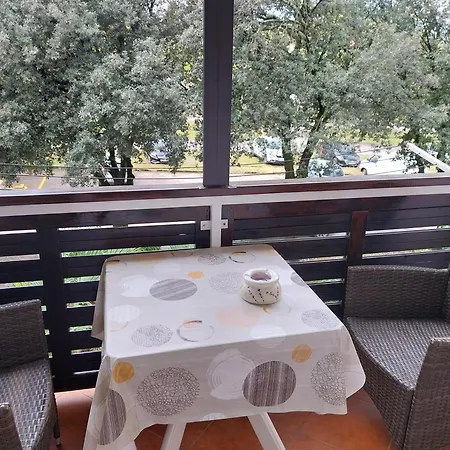 Apartment Zovko Porec