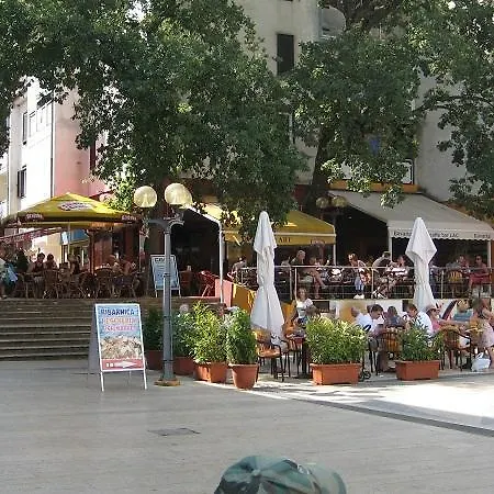 Zovko *